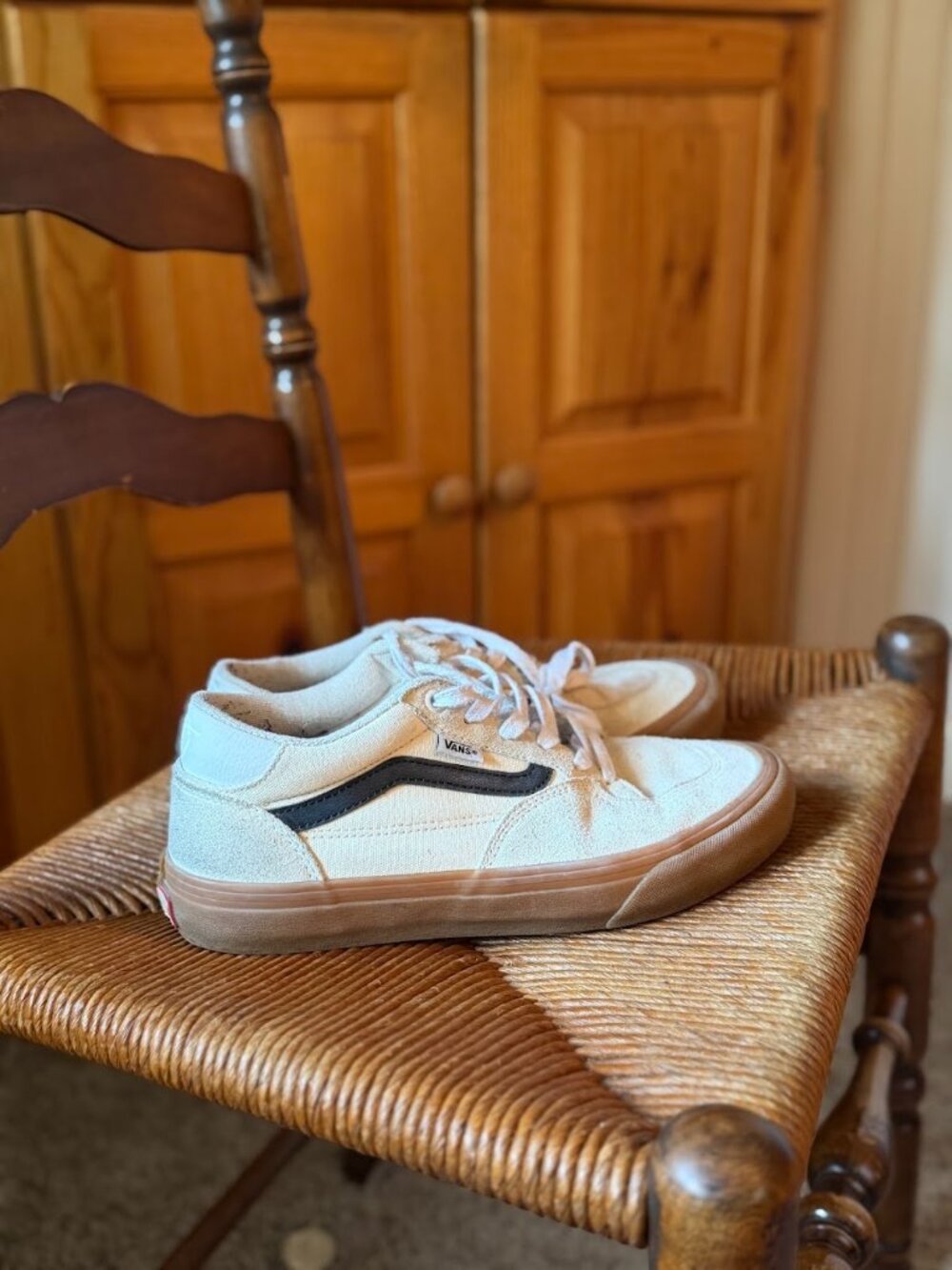 Vans Skateboard Shoe